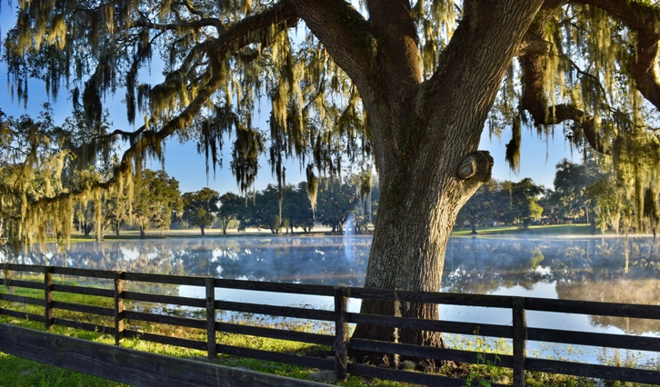 a beautiful scenery by the lake of ocean springs